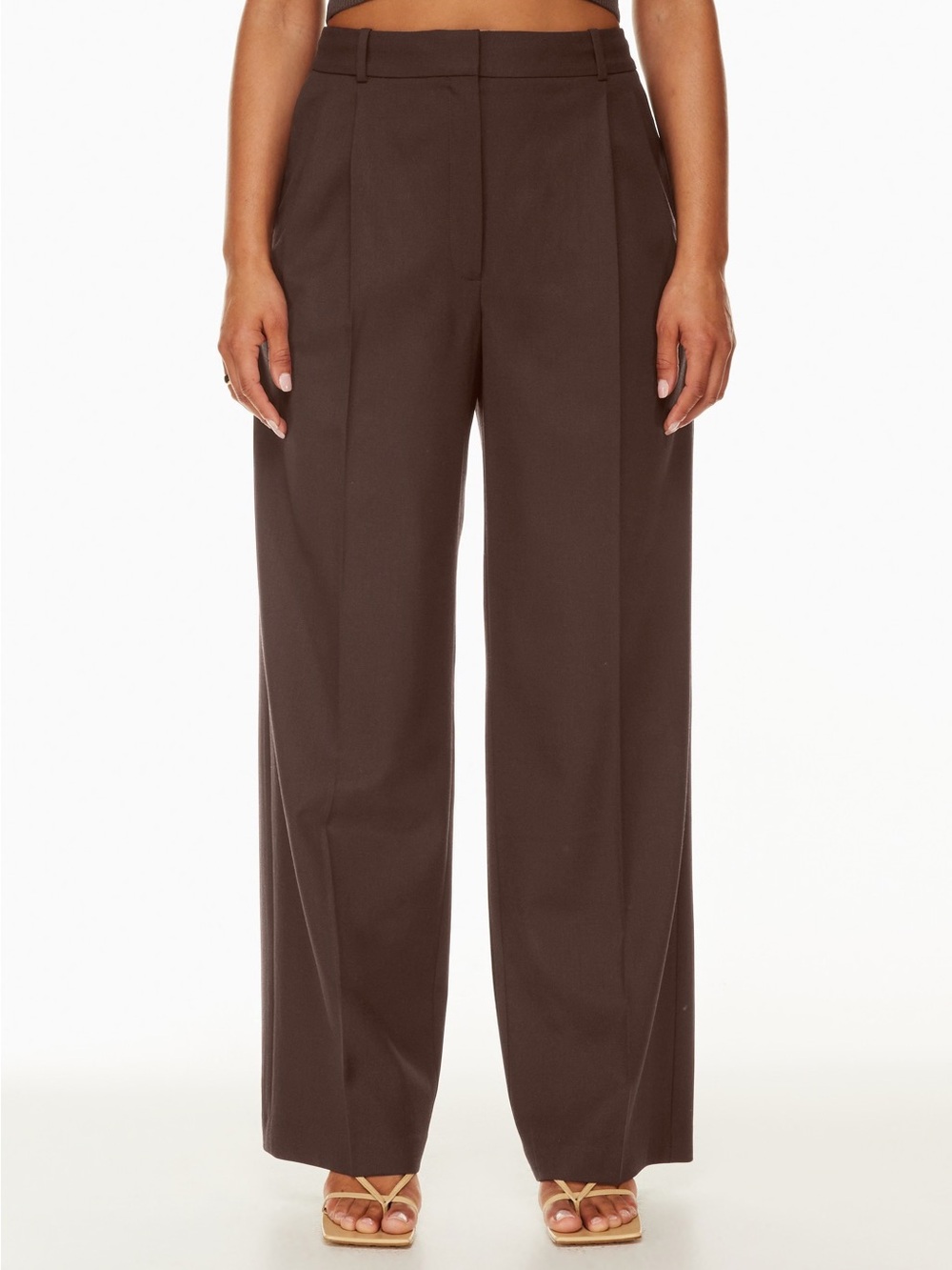 Aritzia Babaton | Women’s Rich Mocha Brown Pleated Pant | Wide-Leg Chic | 2